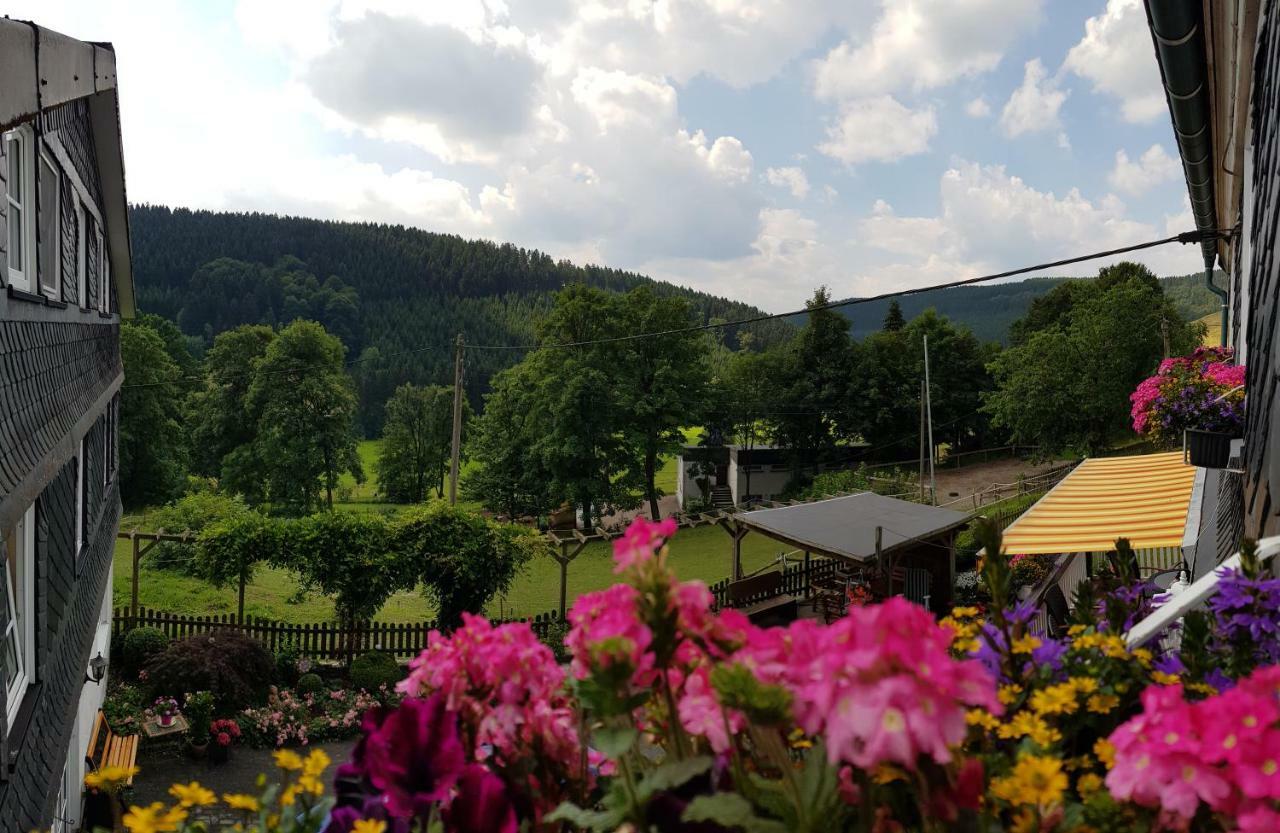 Pension Bergfrieden Шмалленберг Экстерьер фото